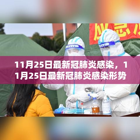 11月25日新冠肺炎感染最新形势分析，全面解析与某某观点阐述