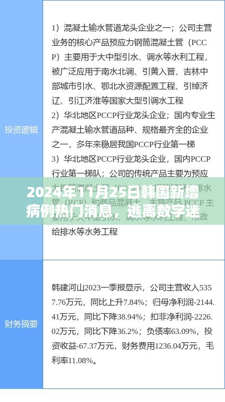 韩国新增病例背后的真实故事，逃离数字迷雾，探寻心灵宁静的自然之旅魔法之地