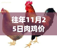 往年11月25日肉鸡价格最新报价详解，获取报价的详细步骤指南