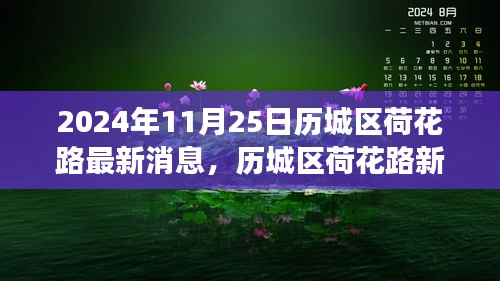 2024年历城区荷花路新篇章，最新进展与影响揭秘