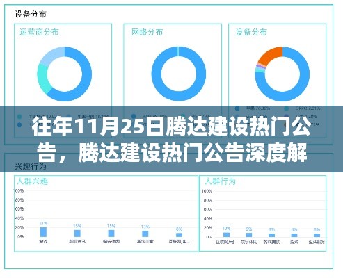 腾达建设热门公告解析，产品特性、用户体验与目标用户群体深度探讨，往年11月25日回顾分析