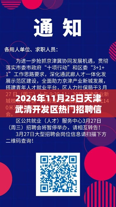 天津武清开发区热门招聘信息解析，2024年11月概览