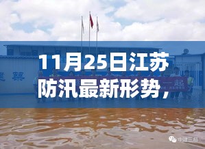 江苏防汛最新动态，水边的趣事与家的温暖，11月25日更新