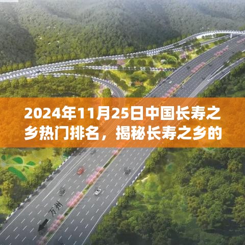 2024年11月25日中国长寿之乡热门排名，揭秘长寿之乡的隐藏宝藏，一家小巷深处的特色小店探秘