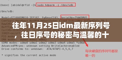 温馨的十一月，往年IDM最新序列号揭秘与往日序号的秘密