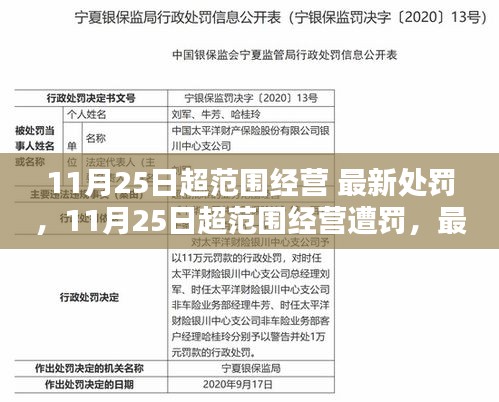 11月25日超范围经营最新处罚措施及案例分析