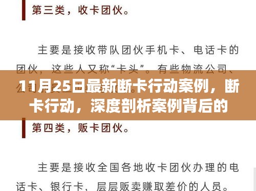 11月25日最新断卡行动案例深度解析，意义、争议与背后故事