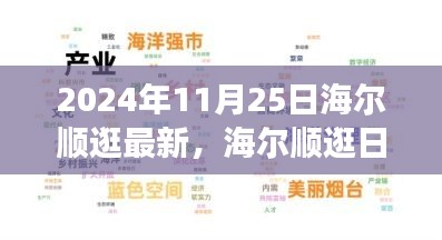 海尔顺逛日常趣事，特别之日的温馨邂逅报道（2024年11月25日最新）