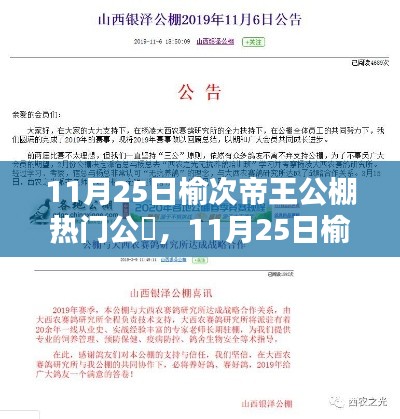 榆次帝王公棚热门公告解析，探寻行业焦点与未来趋势展望