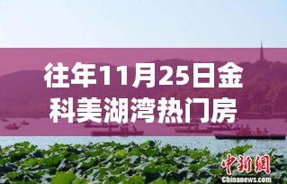 往年11月25日金科美湖湾房价探析，热门房源的市场动态与趋势分析