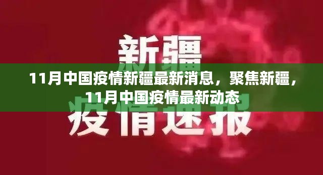 聚焦新疆，11月中国疫情最新动态及新疆疫情最新消息