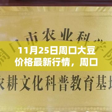 11月25日周口大豆价格行情解析，最新报价及查询指南（初学者与进阶用户必看）