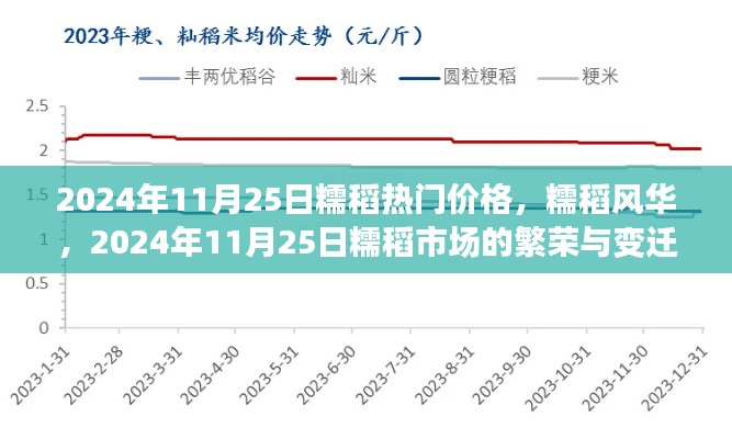 糯稻风华，2024年糯稻市场的繁荣与变迁