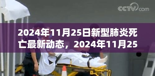 全球疫情下的严峻挑战，新型肺炎死亡最新动态与应对策略（2024年11月25日更新）