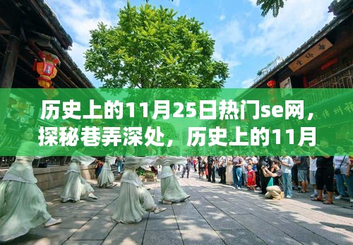 历史上的11月25日特色网事，巷弄深处的se网小店奇遇记