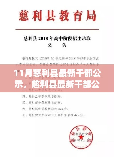 慈利县最新干部公示发布，查看步骤与指南助你轻松掌握信息获取技能