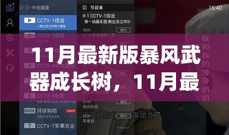 深度解析与观点阐述，最新暴风武器成长树揭秘（11月最新版）