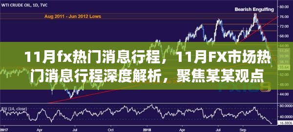 聚焦某某观点，深度解析11月FX市场热门消息行程