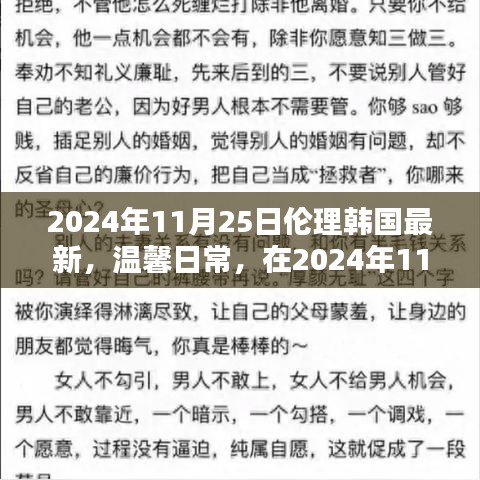 温馨日常，伦理韩国小记 2024年11月25日