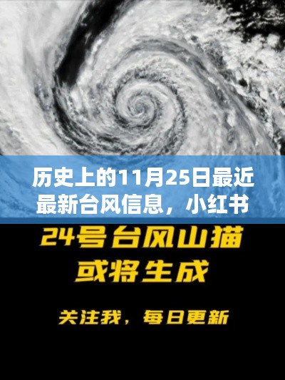 历史上的11月25日与最新台风信息，小红书独家揭秘大揭秘