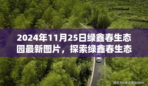 探索绿鑫春生态园，最新图片观赏攻略（2024年11月25日）