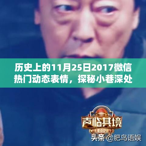 探秘微信表情界的隐藏宝藏，历史上的11月25日潮流地标与小巷深处的秘密探秘