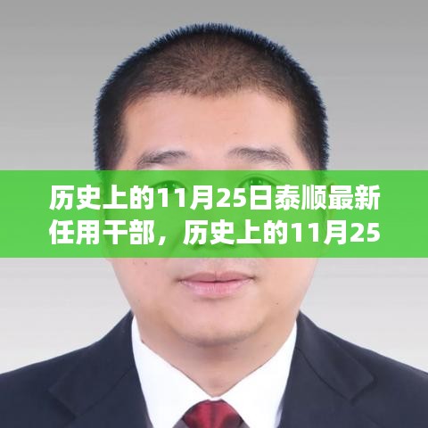 泰顺新任干部解读与反思，历史视角下的任用历程回顾与展望