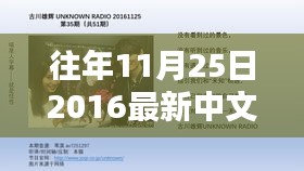 回顾历年十一月二十五日，揭秘2016年中文字幕里程碑时刻