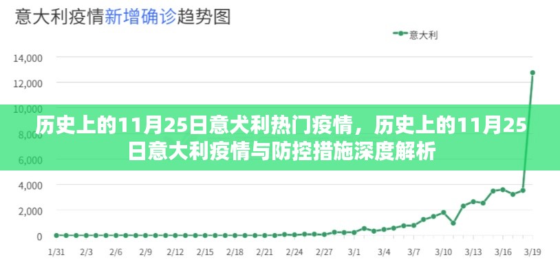 历史上的11月25日意大利疫情深度解析与防控措施回顾