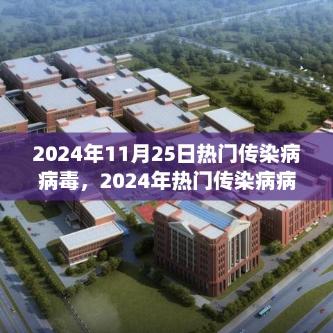 深度解析，2024年热门传染病病毒背景、事件与影响