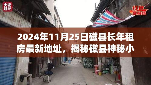 揭秘磁县神秘小巷，探寻长年租房新坐标与独特小店之旅