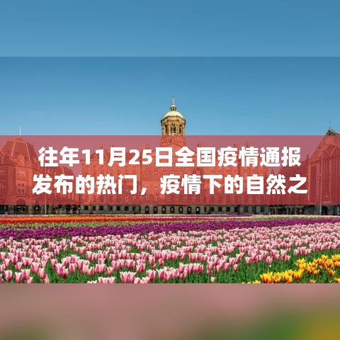 疫情下的自然之旅，寻找内心的宁静与美景的奇遇之旅——全国疫情通报背后的故事