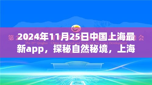 探秘自然秘境，上海最新App引领旅行新风尚，启程寻找心灵宁静之旅（2024年11月25日）