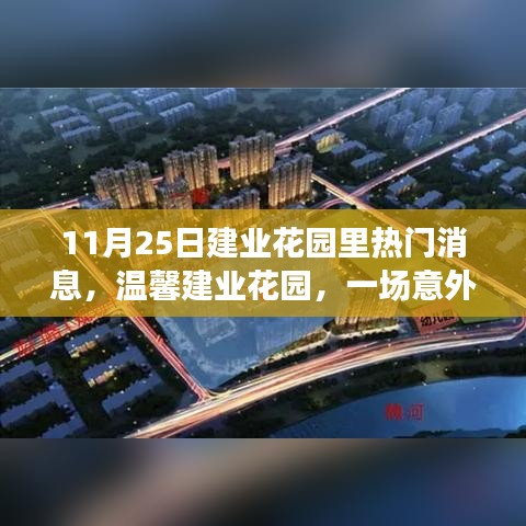 温馨建业花园，惊喜与友情的意外交织日（11月25日热门消息）