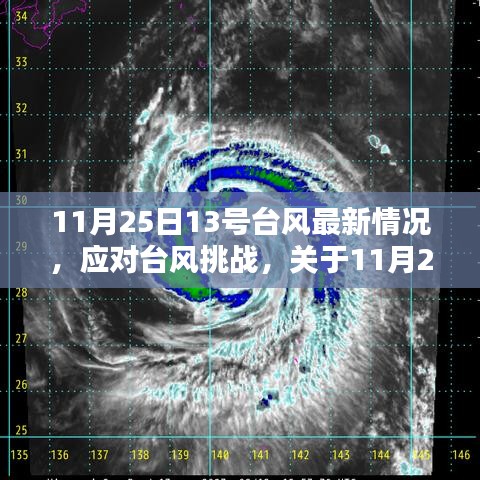 应对台风挑战，关于台风最新情况的指南（针对台风13号）