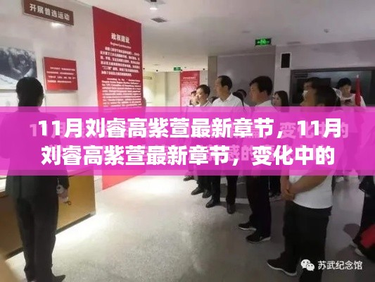 变化中的学习之旅，刘睿高紫萱的自信与成就感的魔法之旅（最新章节）