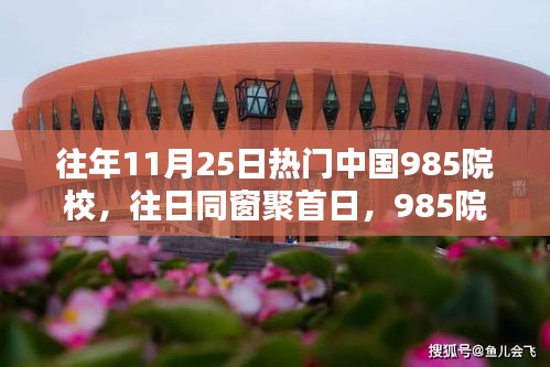 往年11月25日热门中国985院校，往日同窗聚首日，985院校温馨回忆行