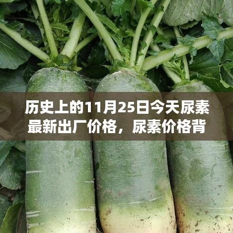 历史上的11月25日今天尿素最新出厂价格，尿素价格背后的故事，一场寻找内心平静的绿色之旅