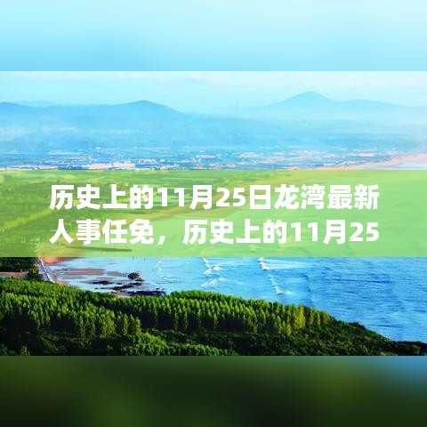 历史上的11月25日龙湾人事任免，自然美景背后的鼓舞与启示