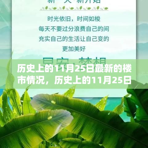 历史上的11月25日楼市深度解析与最新动态报告