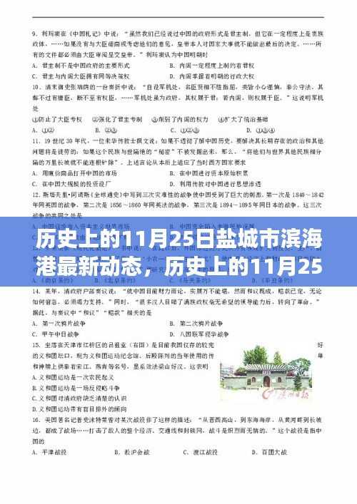 历史上的11月25日盐城市滨海港最新发展动态概览