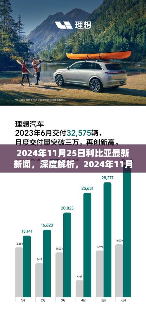 深度解析，2024年11月25日利比亚最新新闻报道