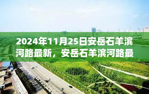 安岳石羊滨河路最新项目深度解析与用户体验反馈报告（2024年11月版）