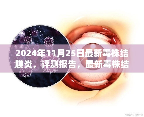 最新毒株结膜炎评测报告与用户体验分析，2024年11月25日最新解读