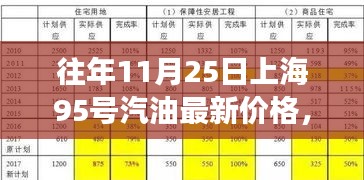 往年11月25日上海95号汽油最新价格，启示中的逆风翱翔与自信成就之路