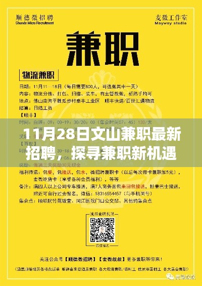 文山兼职招聘盛况揭秘，探寻最新兼职机遇于十一月二十八日