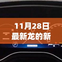 揭秘，最新关于龙的新闻事件报道（11月28日更新）