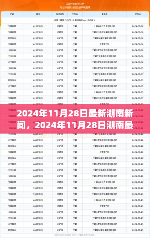 湖南新闻聚焦，最新动态与事件报道（2024年11月28日）