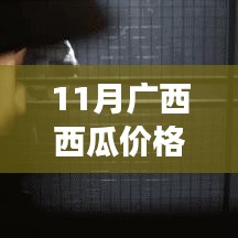 广西西瓜11月最新行情，甜蜜时光里的情缘记忆