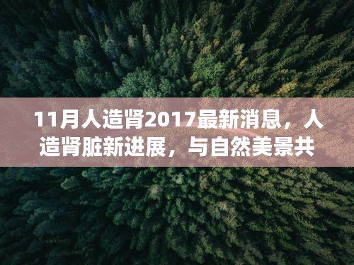 人造肾脏最新进展，与自然美景共舞的探索之旅，探寻内心宁静的奇迹